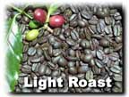 Light Roast